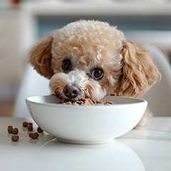 絶対に食べてはダメなもの