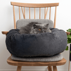 猫のベッドは洗える方がいい?選び方と清潔に保つコツ