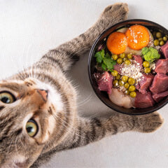 愛猫も食べられる6月の食べ物|梅雨時期の食事ポイントも解説