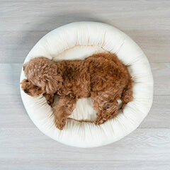 マシュマロクッションが選ばれ続ける理由