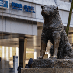 忠犬ハチ公から学ぶ犬の愛情｜待ち続けた理由と深い絆