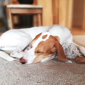 運動不足の解消方法は？