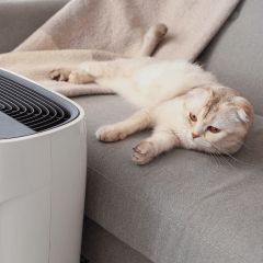 猫にエアコンは必要？夏の室温と暑さ対策を解説