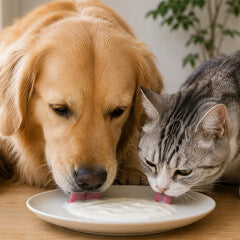 5月15日はヨーグルトの日！犬猫にヨーグルトはOK？