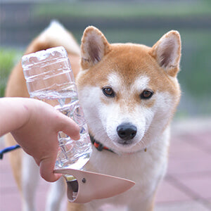 熱中症対策はできてる？