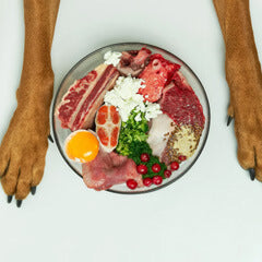 愛犬も食べられる6月の食べ物｜梅雨時期のおすすめ食材と注意点
