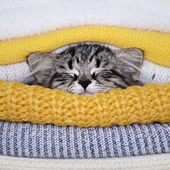 猫の寒さ対策、NG例