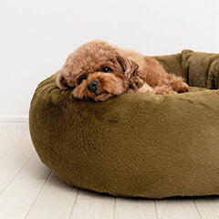 洗える犬用ベッドの選び方