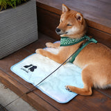 RELAX COOL MAT
