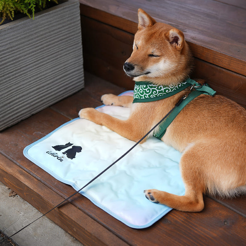 RELAX COOL MAT