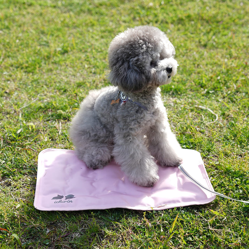 RELAX COOL MAT