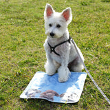 RELAX COOL MAT