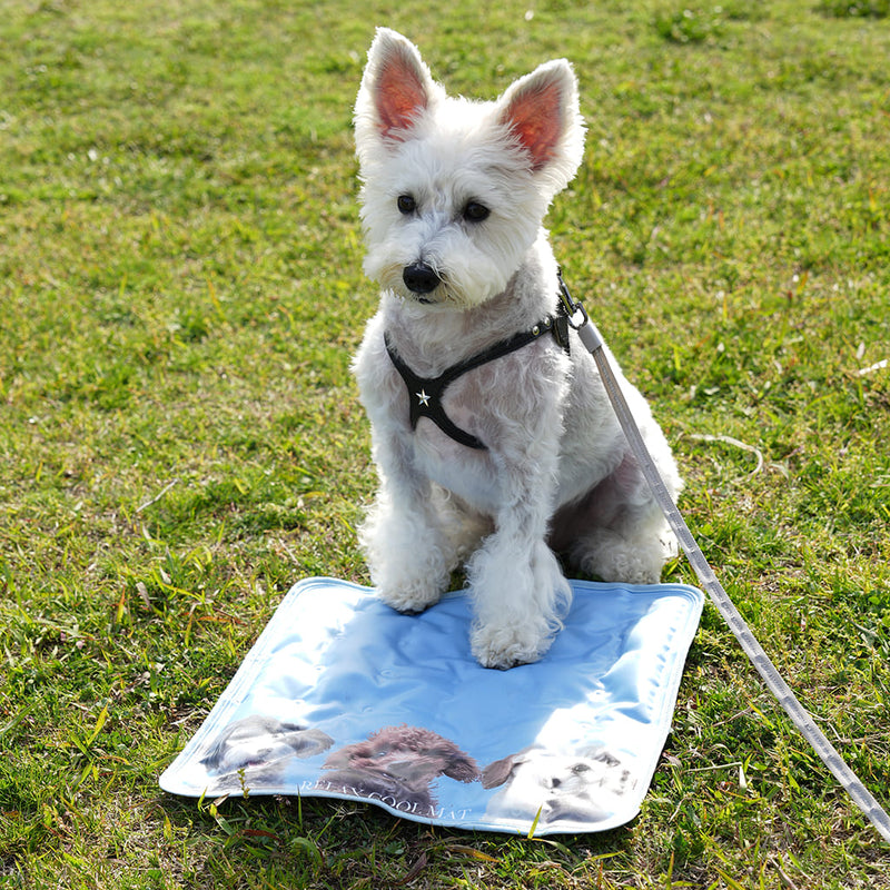 RELAX COOL MAT