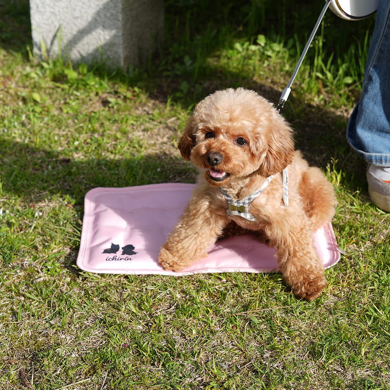 RELAX COOL MAT