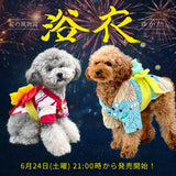 浴衣（菊の花）※帯は1種類です