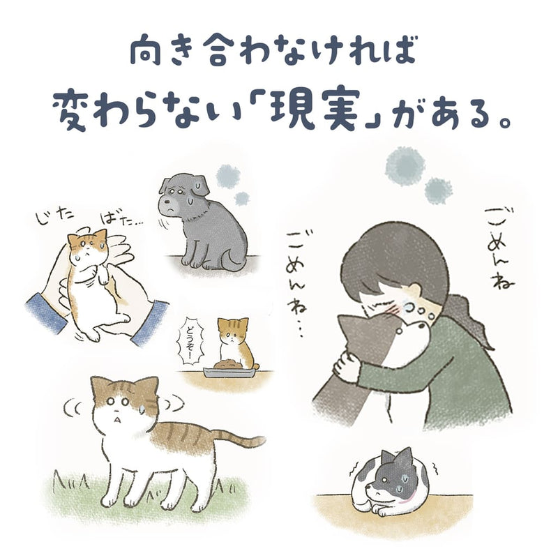 【予約限定版】プレミアムマシュマロコレクション