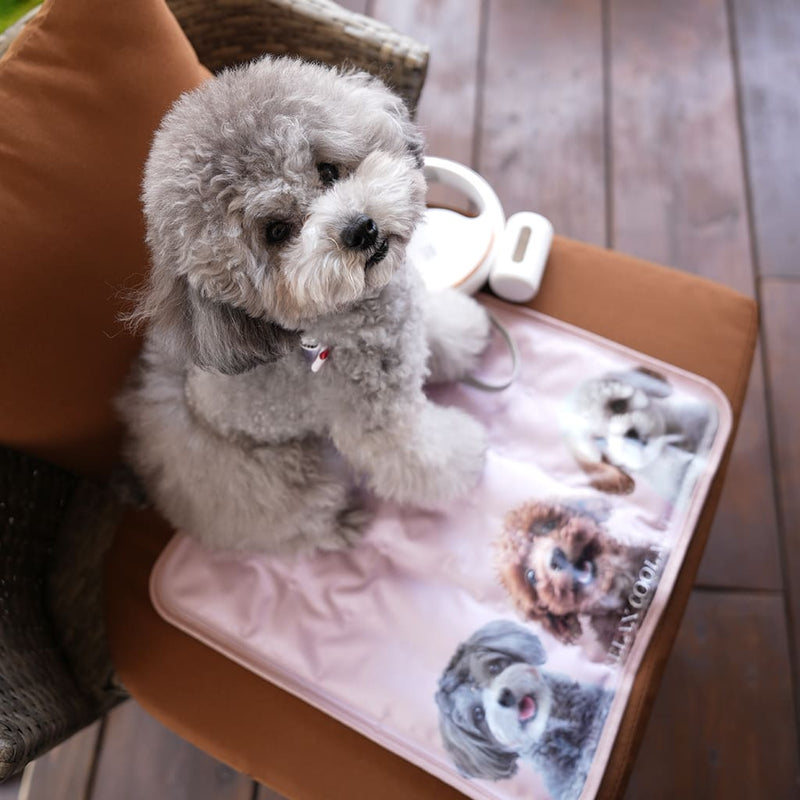 RELAX COOL MAT