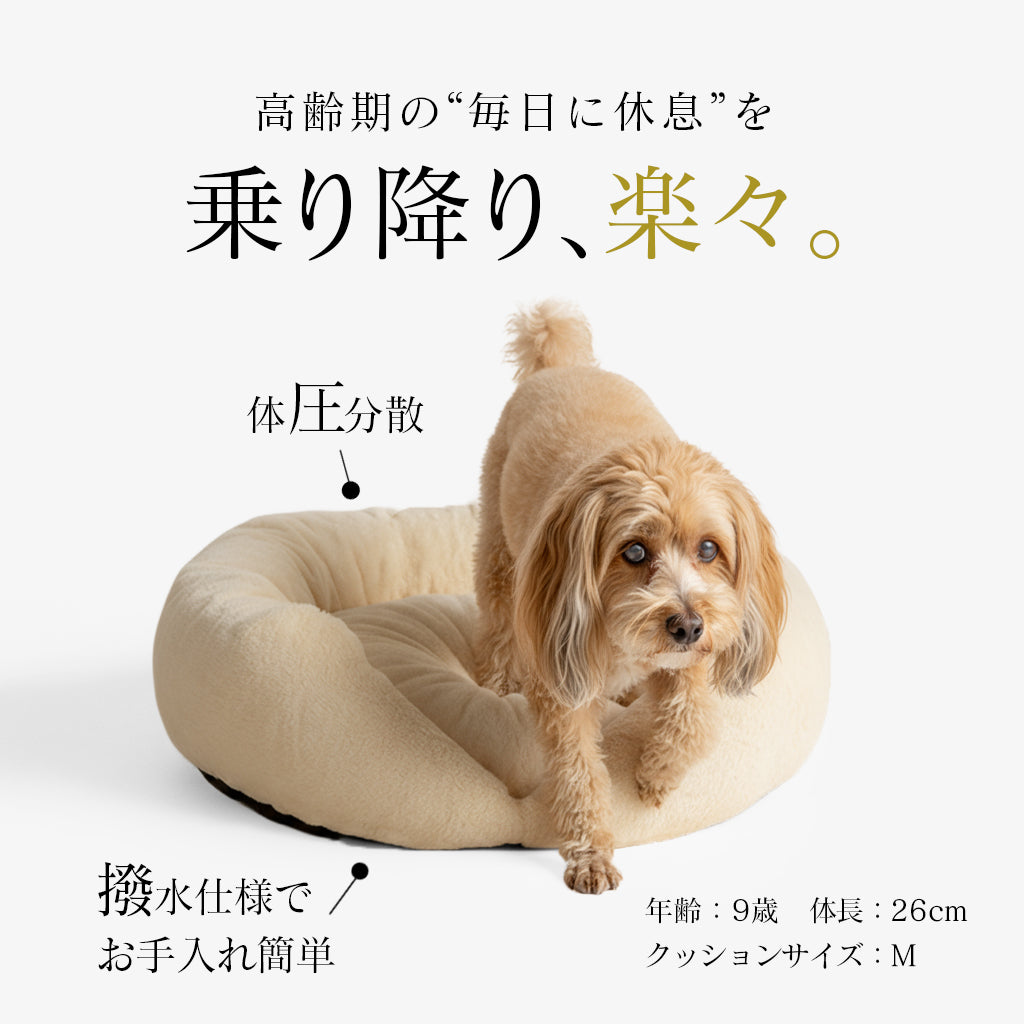 Care Luxe（カバーのみ）