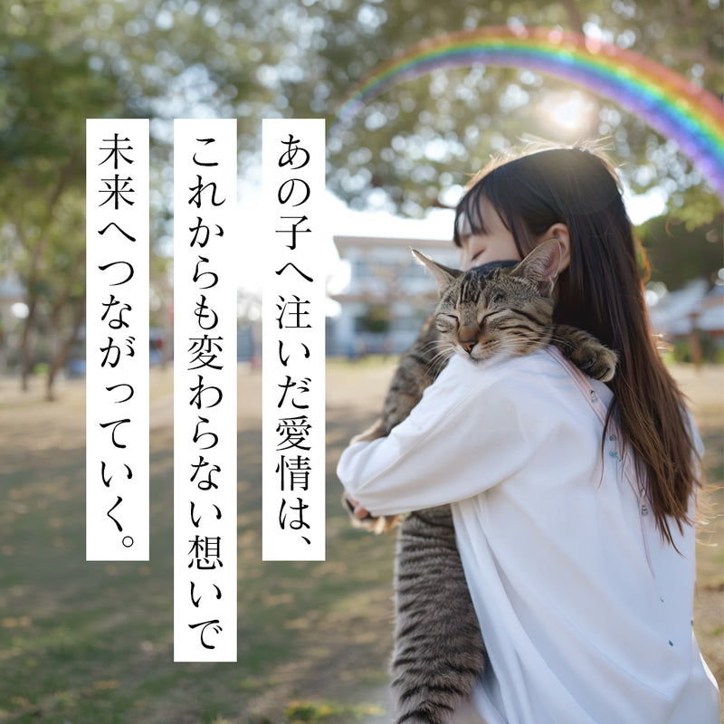 虹のたまご