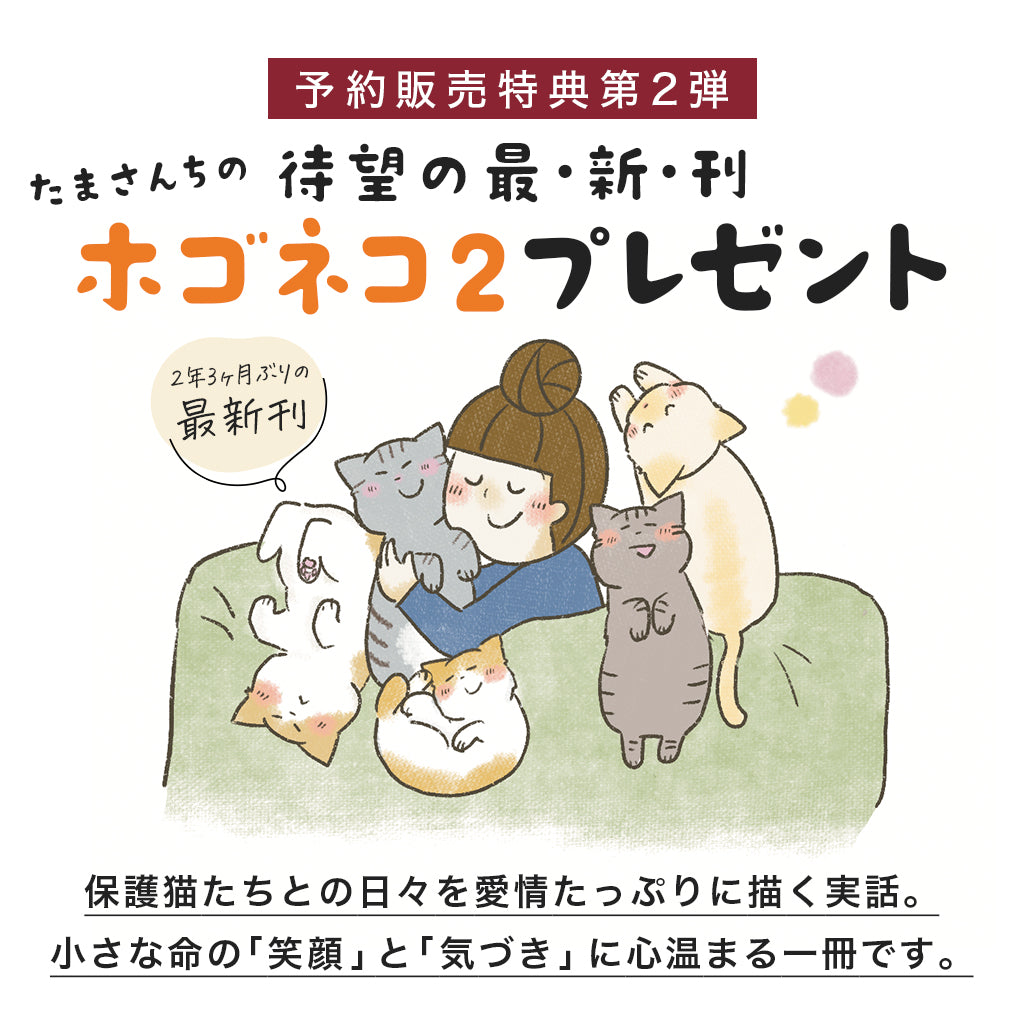 【予約限定版】プレミアムマシュマロコレクション