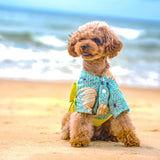 浴衣（菊の花）※帯は1種類です