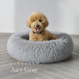 【予約限定版】プレミアムマシュマロコレクション