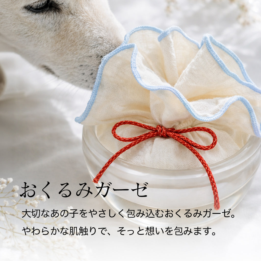 虹のたまご