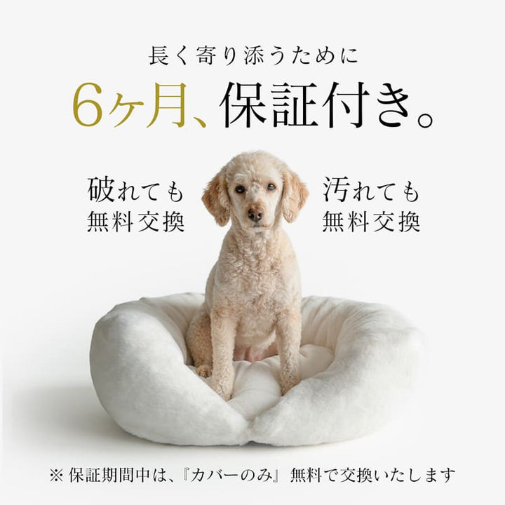 6ヶ月保証付き｜破れても・汚れても無料交換