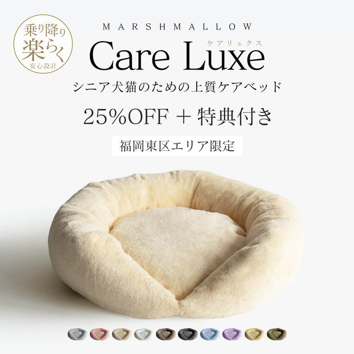 Care Luxe（ケアリュクス）25%OFF+特典付き