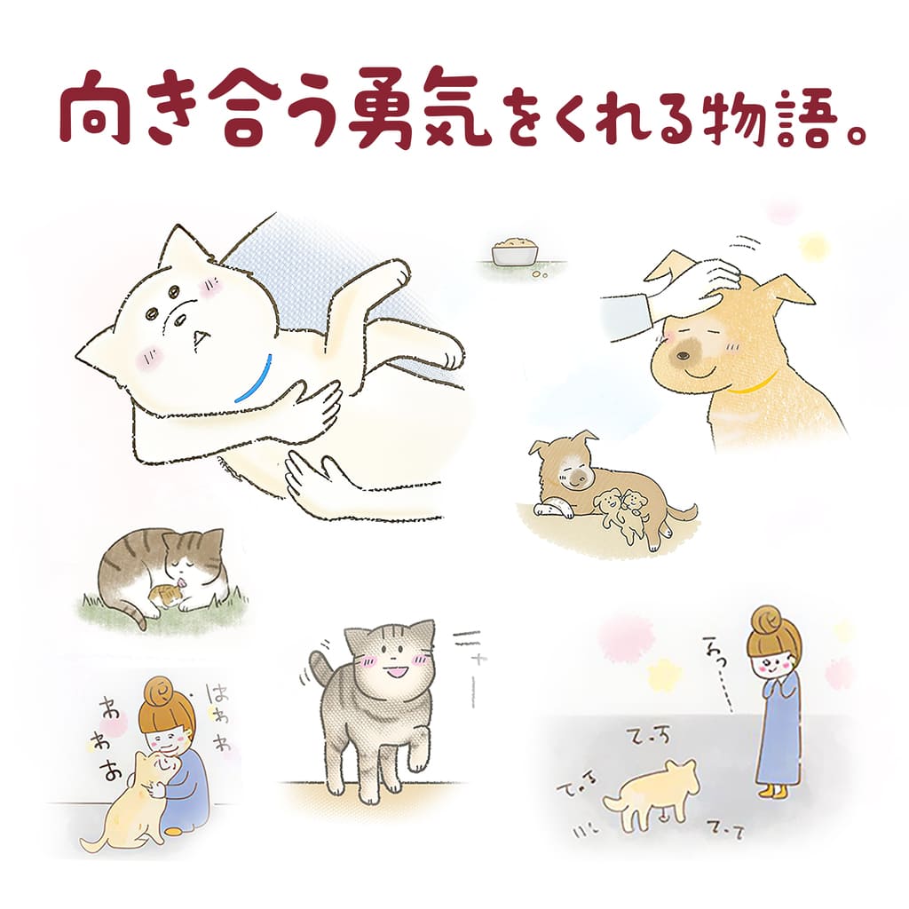 【予約限定版】プレミアムマシュマロコレクション