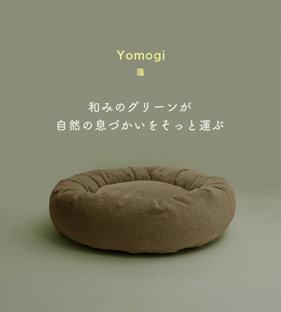 蓬