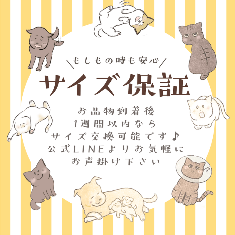 たまさんちのTシャツ初版ご予約特典付き（コットン100%）