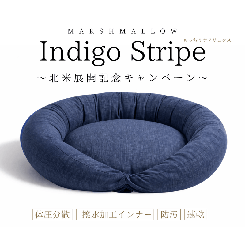 【北米進出記念特別価格】インディゴストライプ限定！もっちりケアリュクス　※発送は12月10日頃から順次