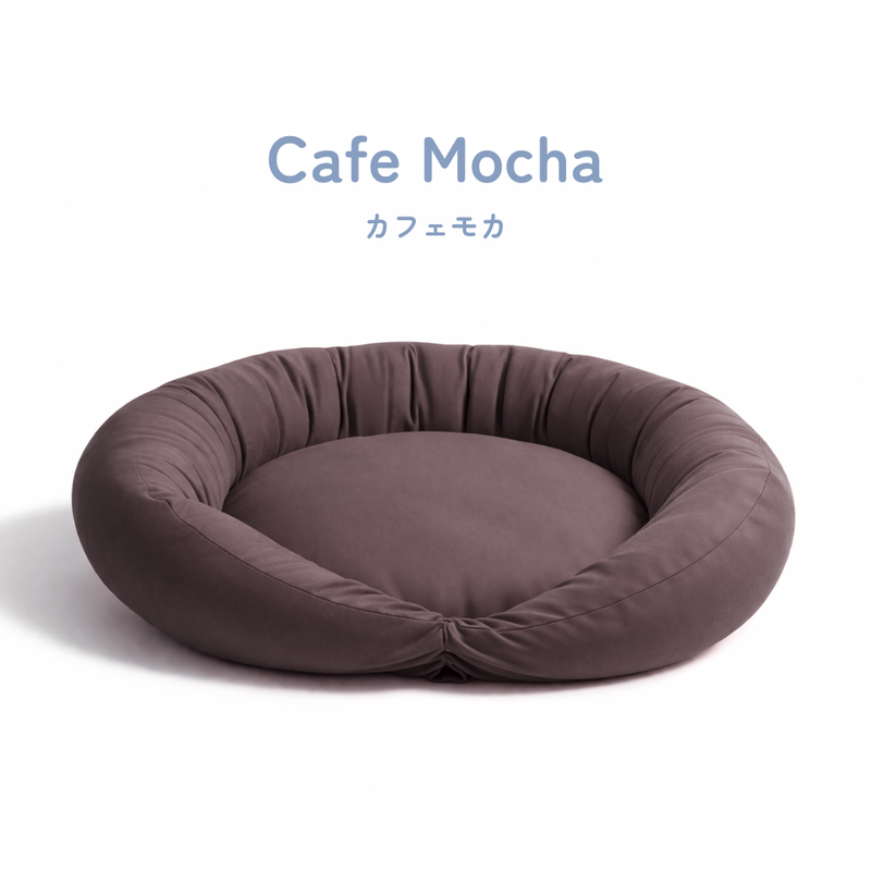 ケアリュクスアイス