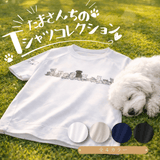 たまさんちのTシャツ初版ご予約特典付き（コットン100%）