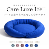 ケアリュクスアイス