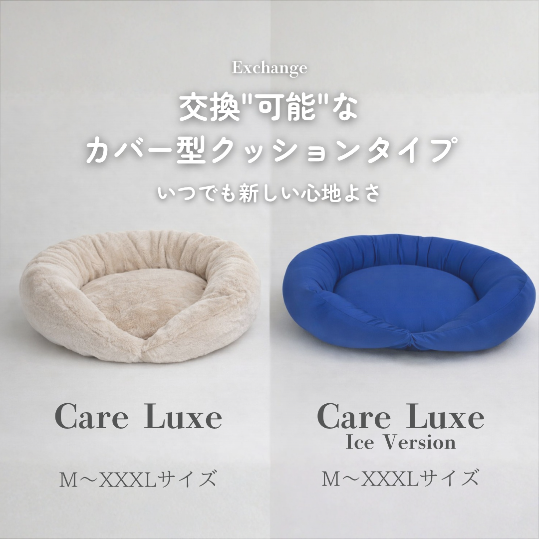 ケアリュクスアイス