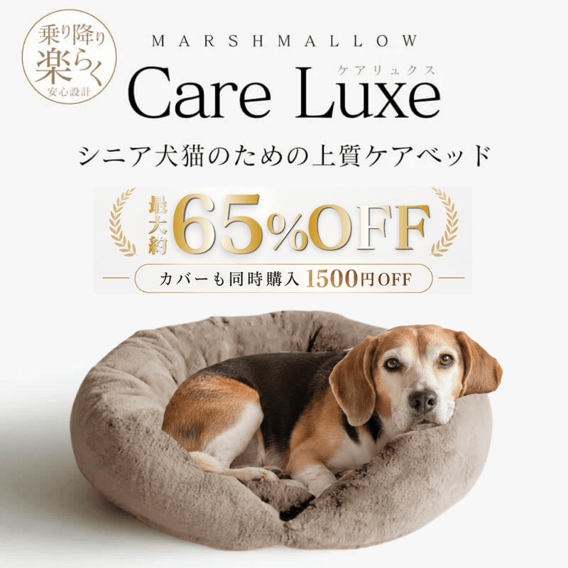 【北米進出記念特別価格】カフェモカ限定！Care Luxe（ケアリュクス）※発送は12月24日頃から順次