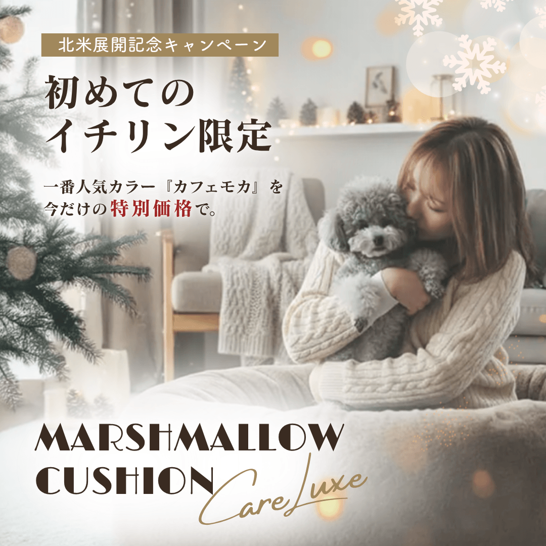 【北米進出記念特別価格】カフェモカ限定！Care Luxe（ケアリュクス）※発送は12月24日頃から順次