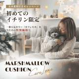 【北米進出記念特別価格】カフェモカ限定！Care Luxe（ケアリュクス）※発送は12月24日頃から順次