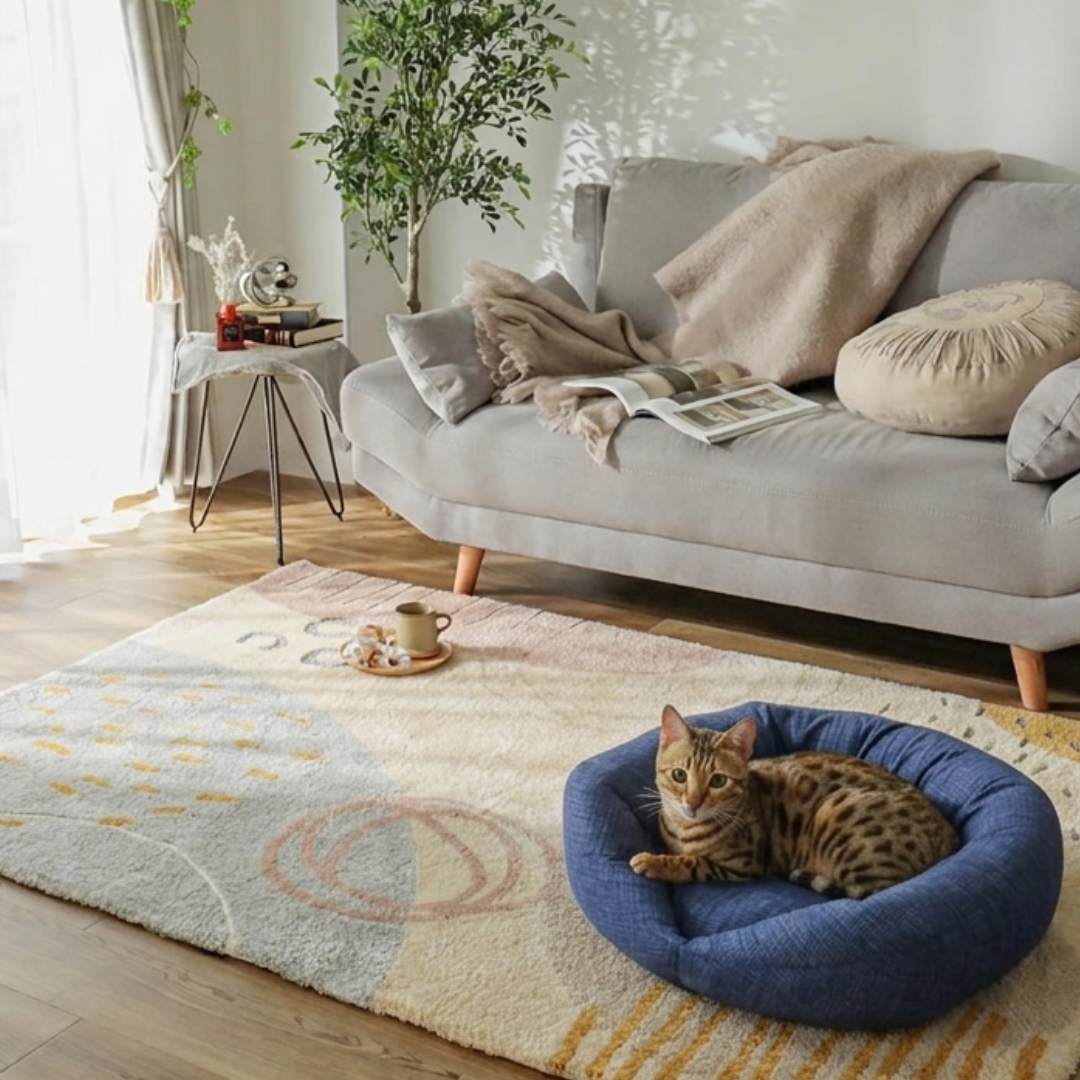 ケアリュクスアイス