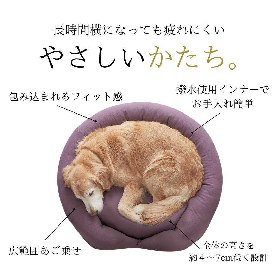 ケアリュクスアイスカバー※お洗濯中もいつものベッドをそのまま使えるように洗い替え用カバーを1枚持っておくと安心です
