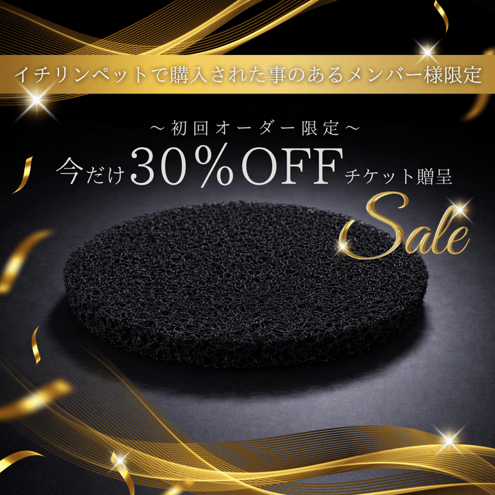 【受注生産】エアリュクスコア：マシュマロクッションメンバー限定 7月発送予定