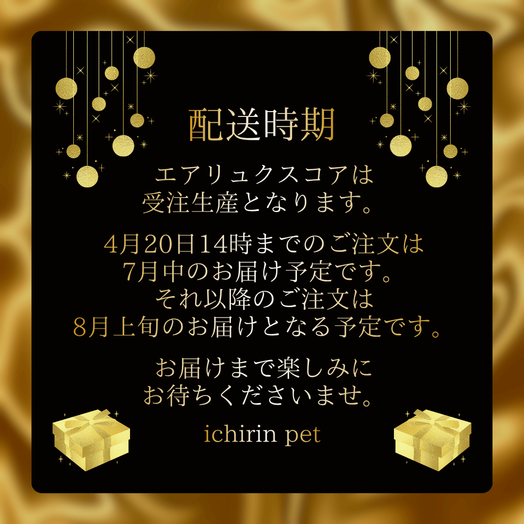【受注生産】エアリュクスコア：マシュマロクッションメンバー限定 4月20日14時までのご注文は7月発送予定。それ以降は8月中のお届け予定。