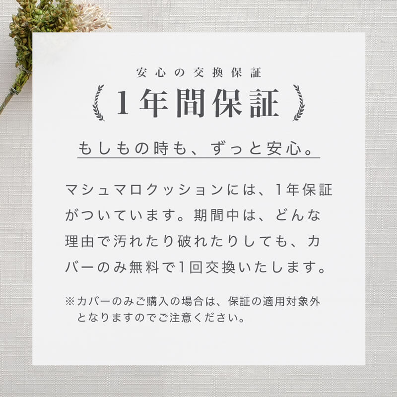 【予約限定版】プレミアムマシュマロコレクション