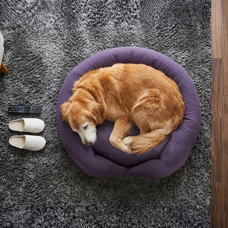 ひんやりケアリュクス|シニア犬・老犬・猫の夏用ひんやりペットベッド ひんやりケアリュクス|シニア犬・老犬・猫の夏用ひんやりペットベッド