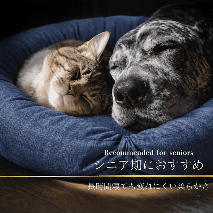 【限定セット】ケアリュクスアイス×エアリュクスコア