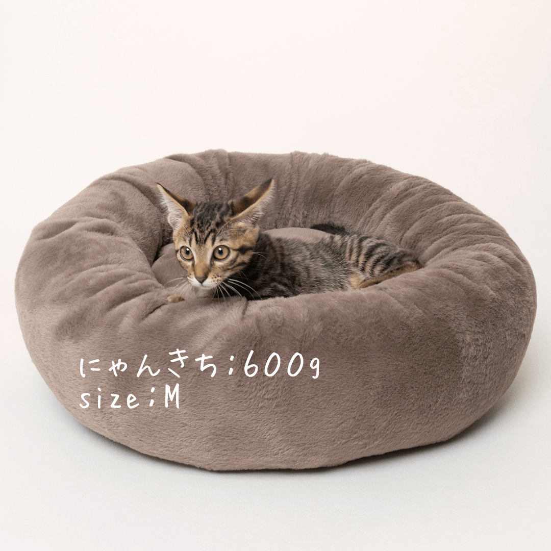 【北米進出記念特別価格】カフェモカ限定！プレミアムマシュマロクッションベッド　※発送は12月24日頃から順次