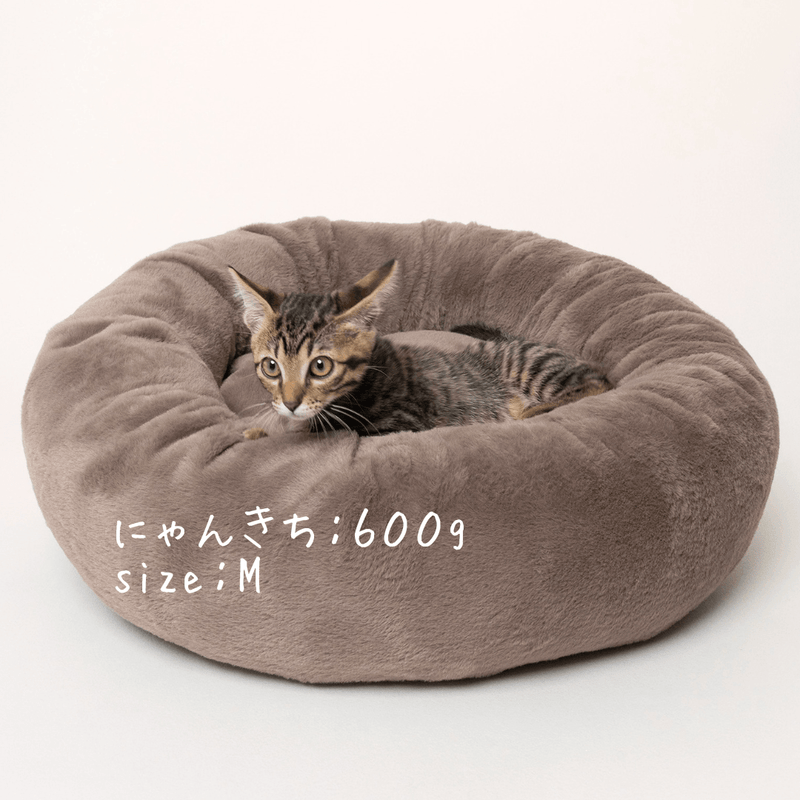 【北米進出記念特別価格】カフェモカ限定！プレミアムマシュマロクッションベッド　※発送は12月24日頃から順次