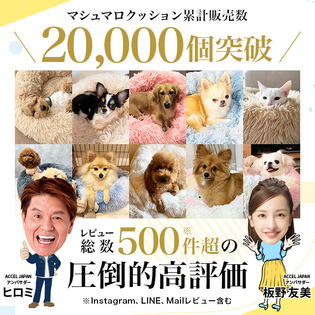 公式】イチリンペット｜犬・猫専門のペット用品通販